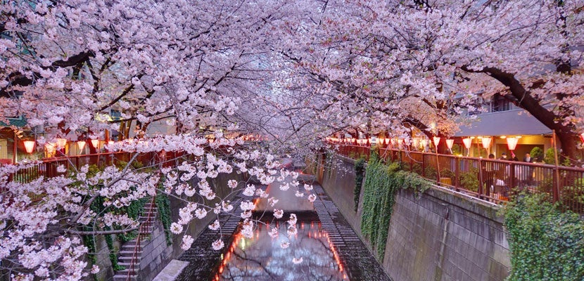 gettyimages-672204293