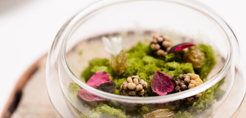 img-michelin-chicago