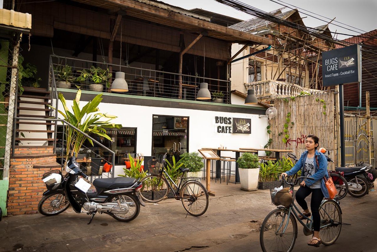 bugs cafe cambodia