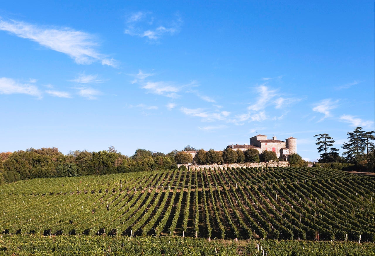 France, Bordeaux,  Vineyards and Chateau Lacaussade