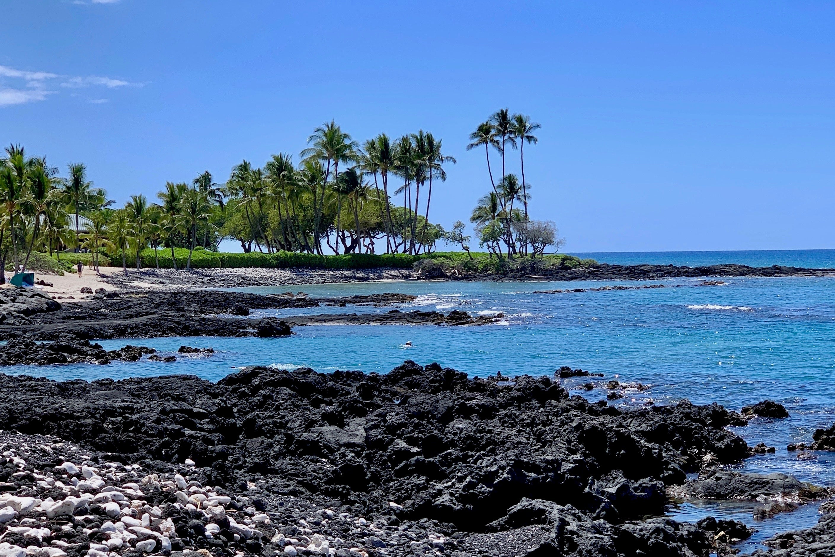 BigIsland2019shore