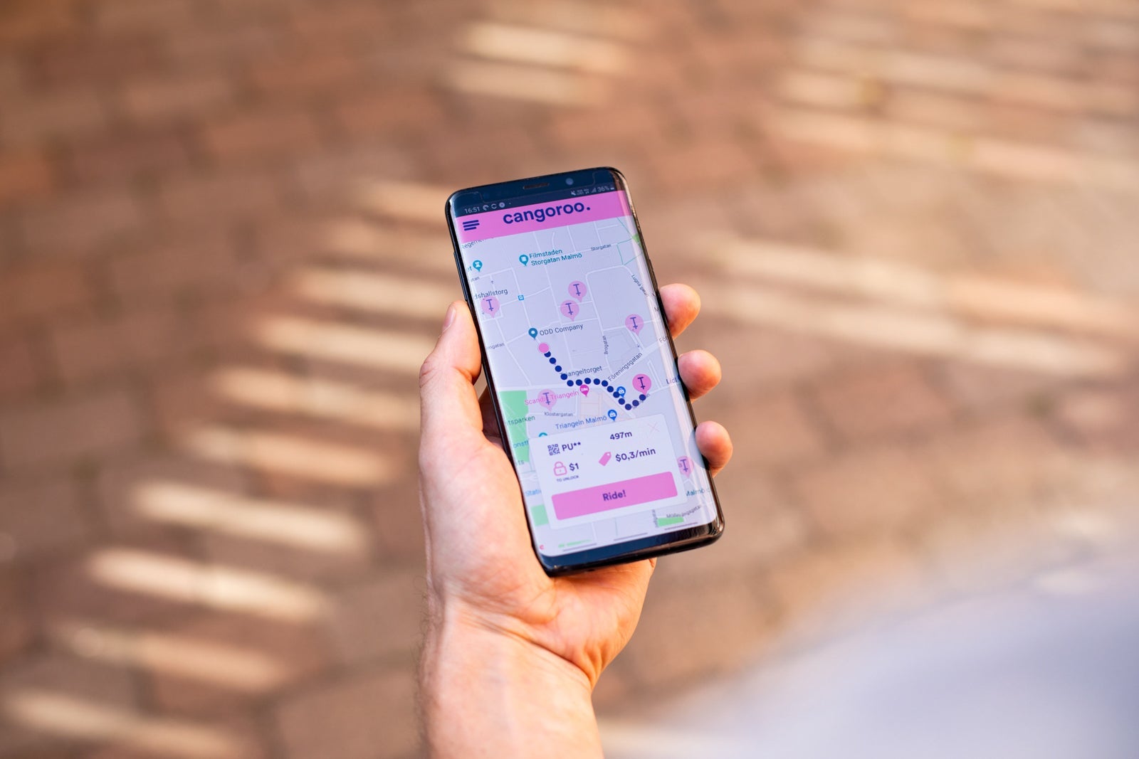 Photo courtesy of Cangoroo.