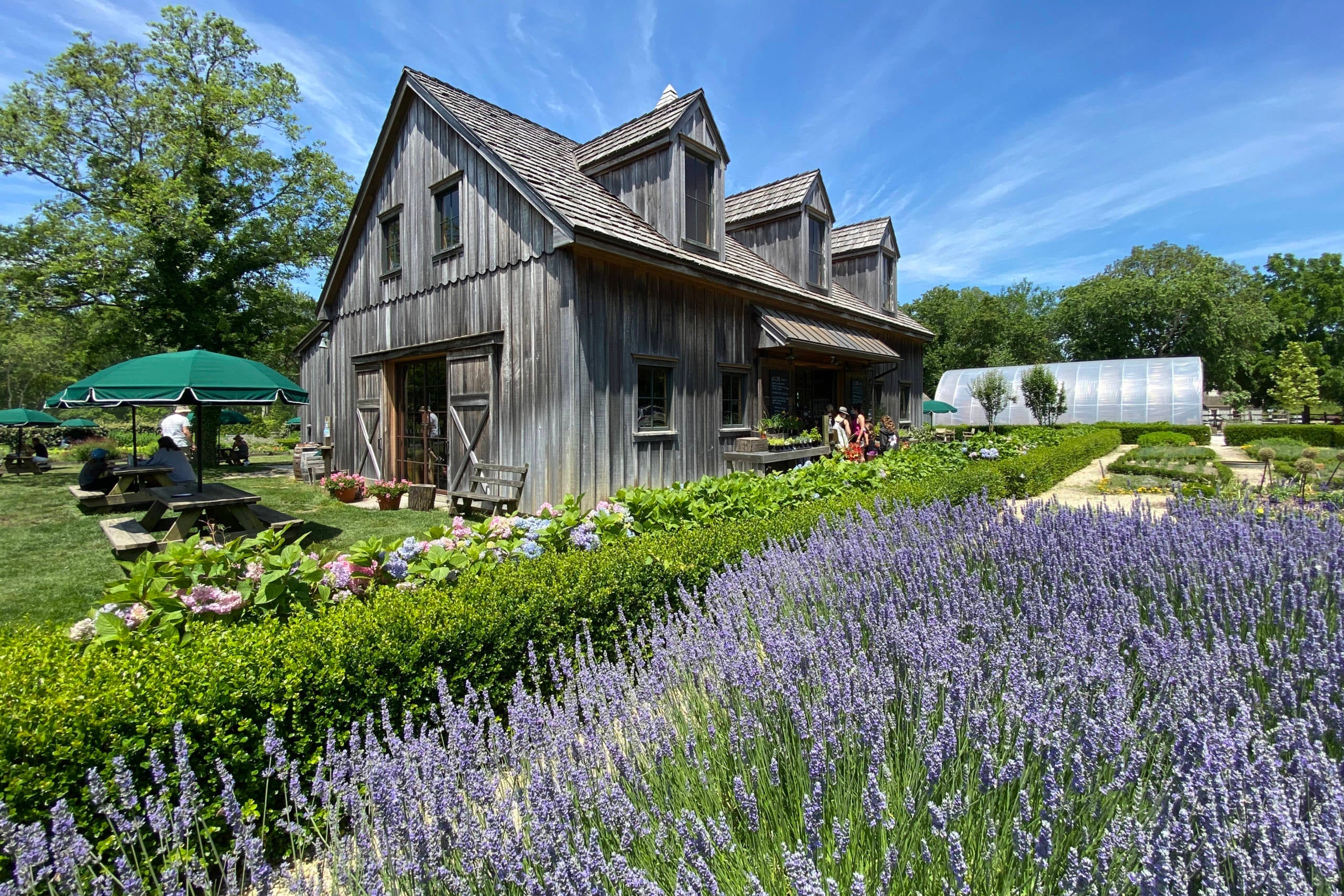 Cape May New Jersey ZH