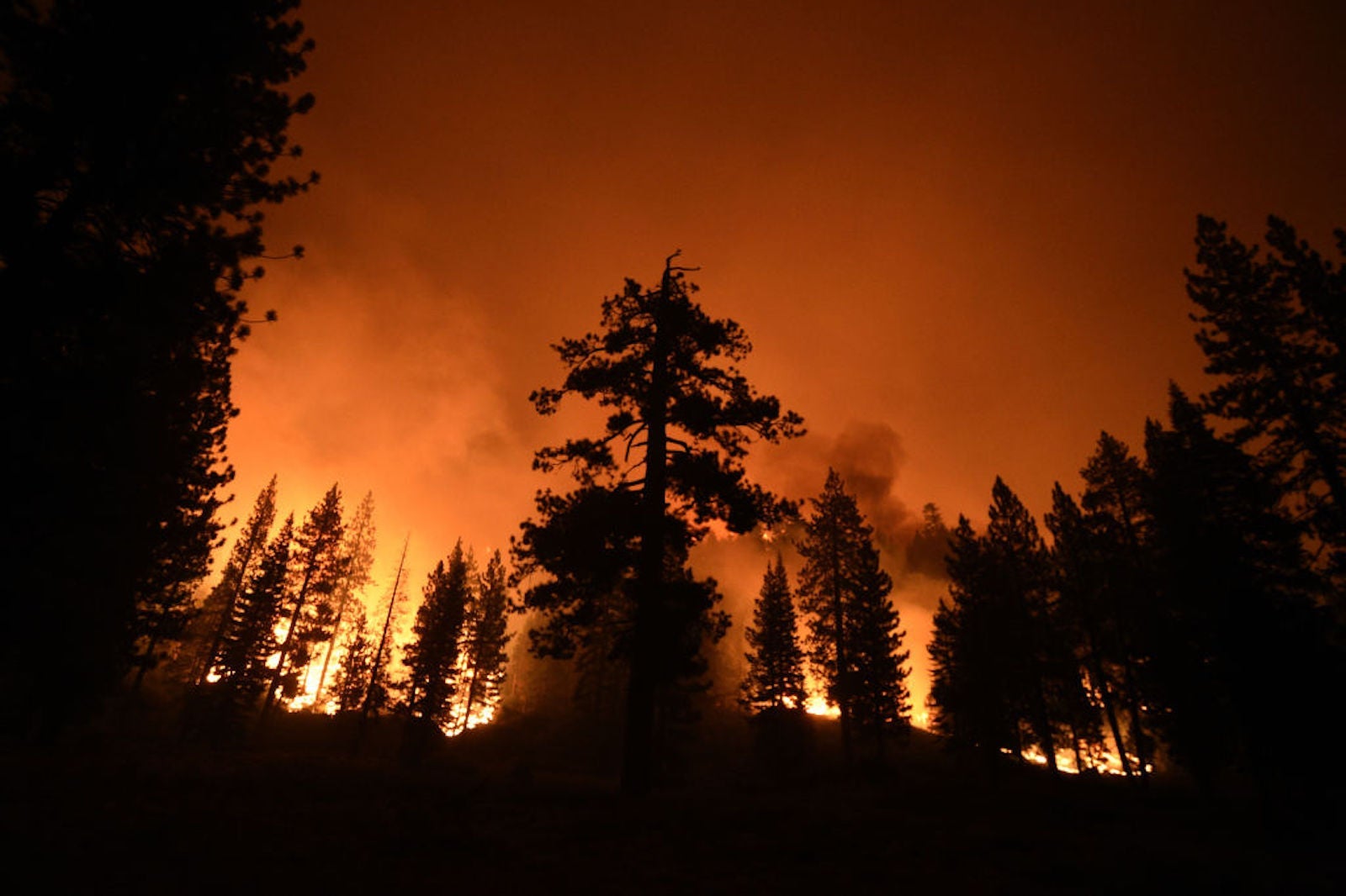 Caldor Fire moves towards the residential areas