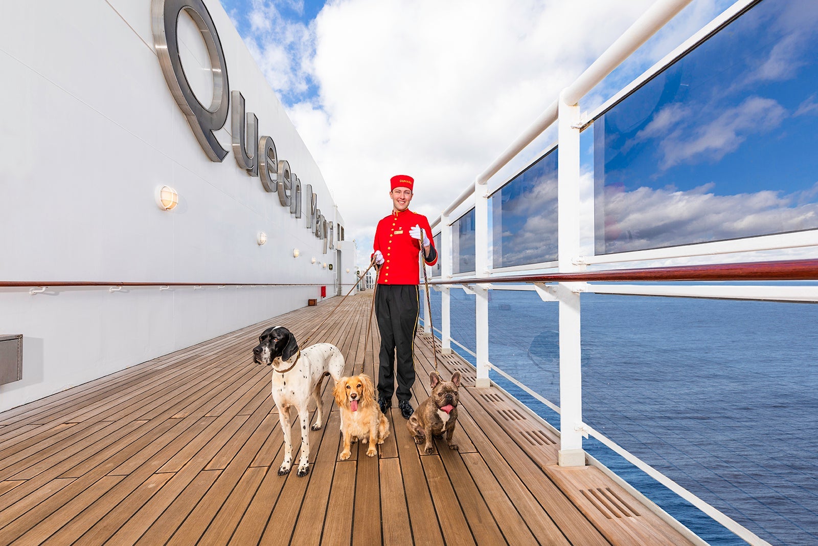 cunard-kennels