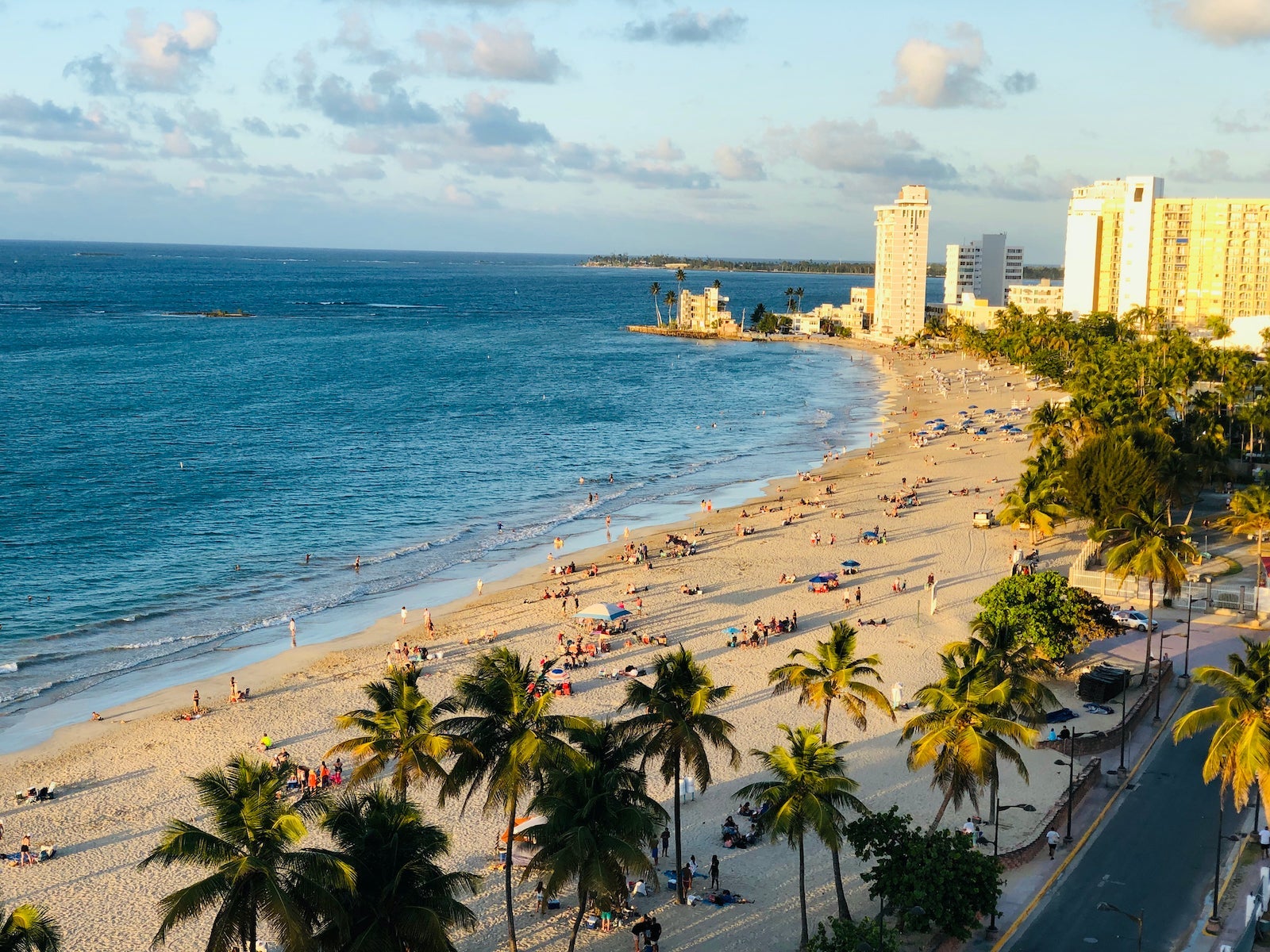 High Angle View Of Palm Trees On Beach