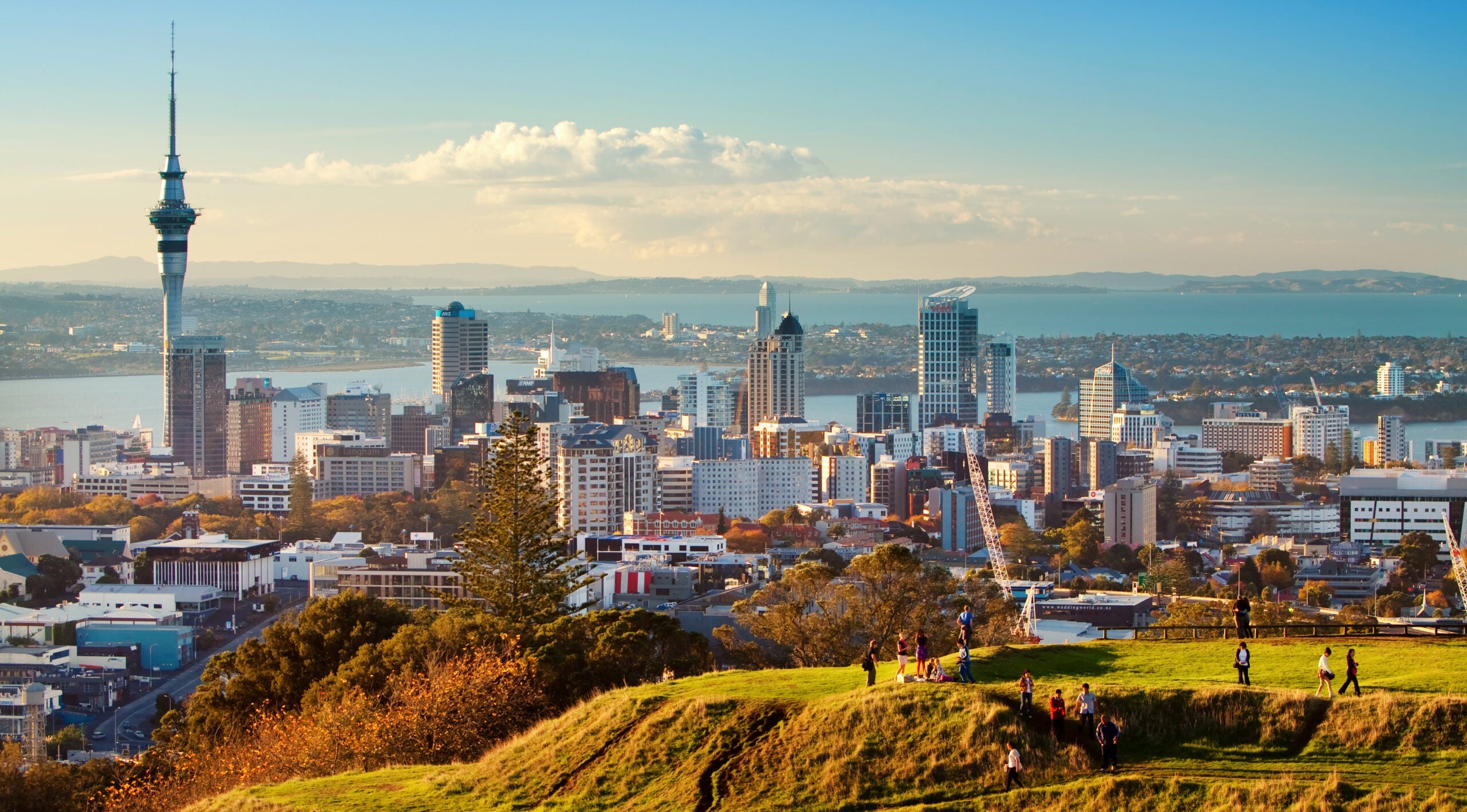 Auckland Skyline