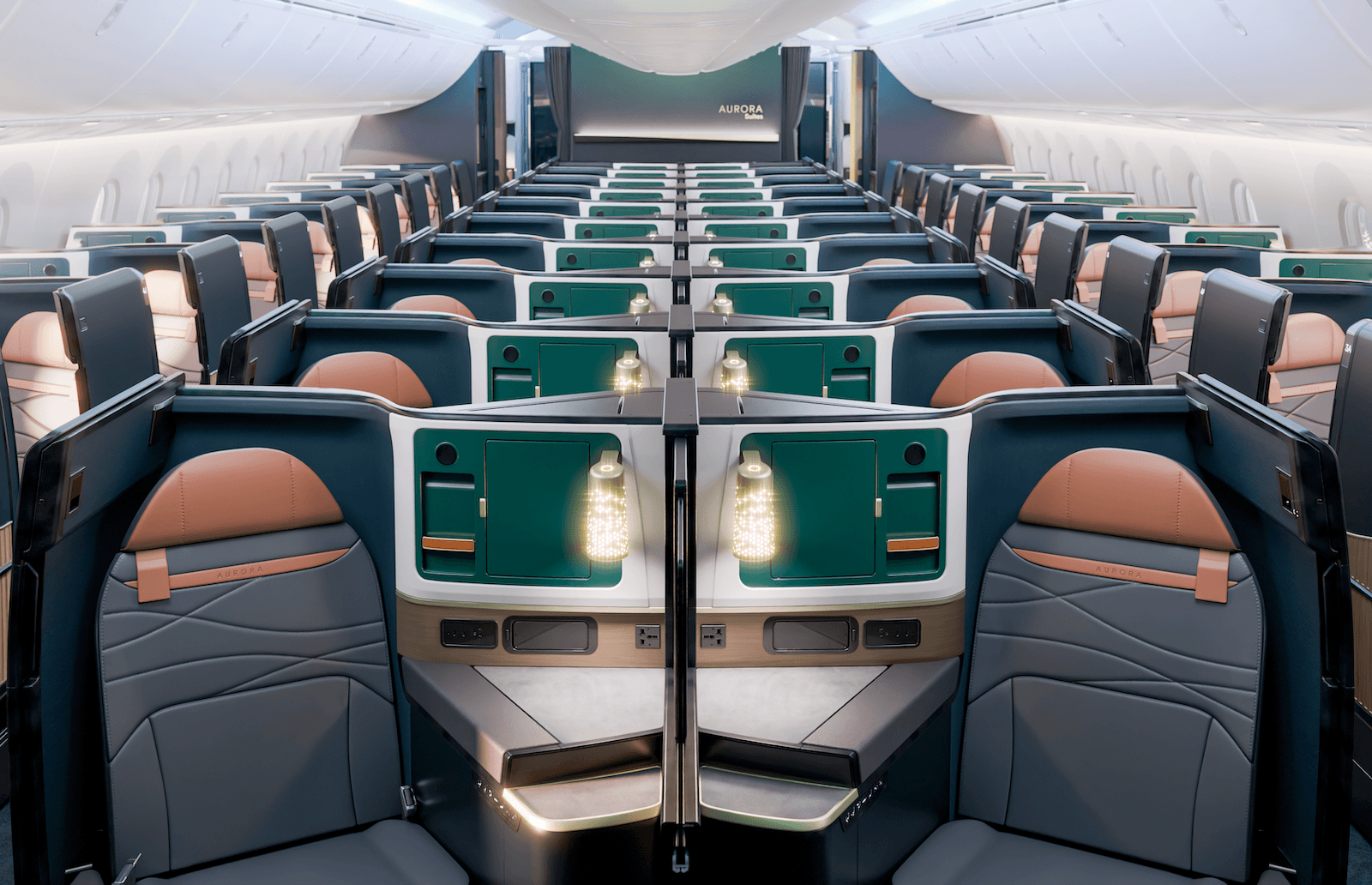 Alaska 787 Aurora