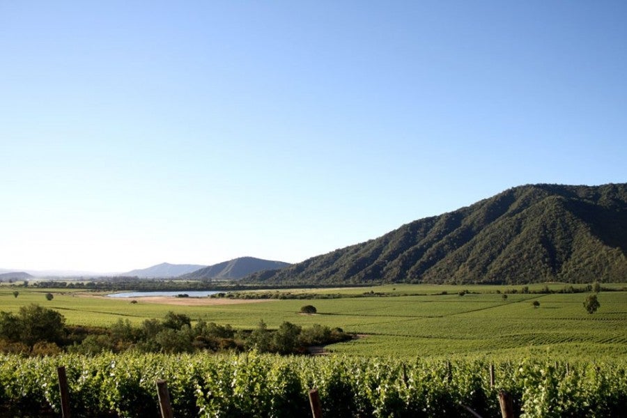 293256_468136266543783_1692591328_n