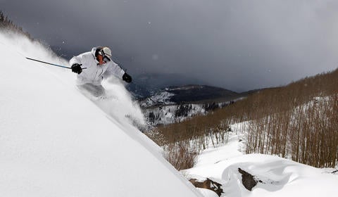 VCD8455_Chris McLennen_338_2410