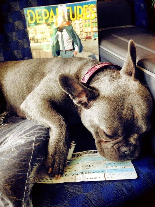 1010083_10153867806600599_737449572_n