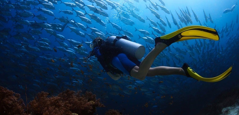 Scuba Diving featured shutterstock 141494932