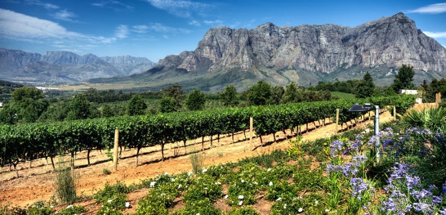 South Africa featured