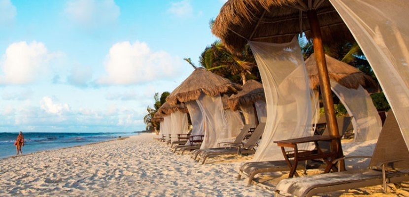 AA Vacations January promo art