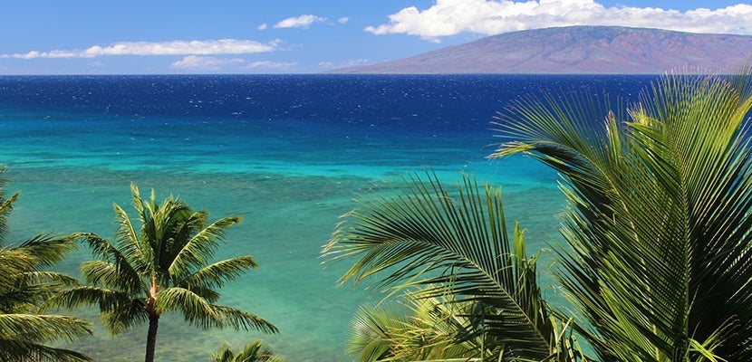 IMGshutterstock_386603977