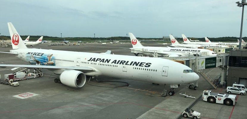 Japan Airlines planes lined up at the gate in Tokyo.