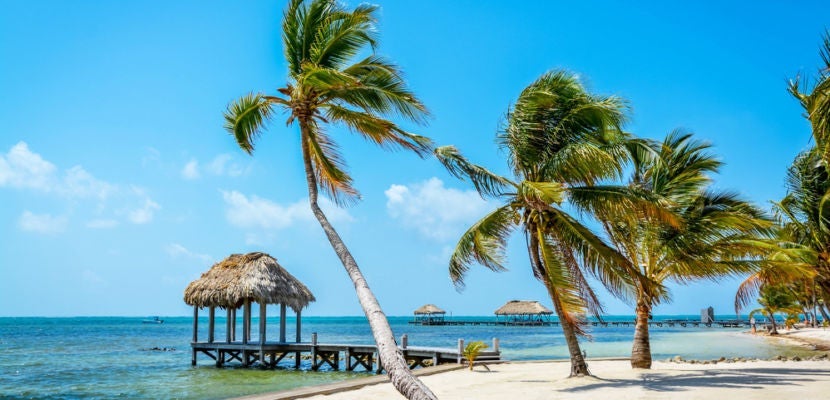 shutterstock_285759527 copy