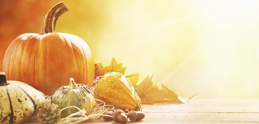 img-fall-shutterstock_303846593