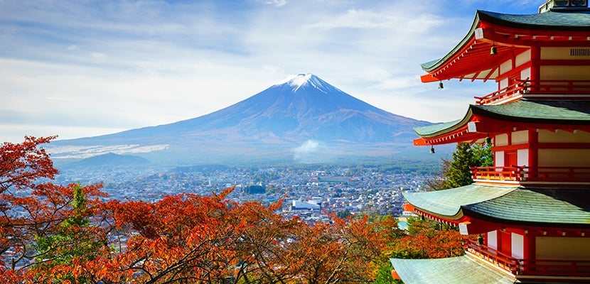 imgshutterstock_247025746