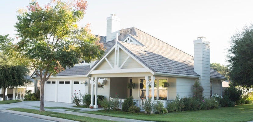 Sunny house and trees