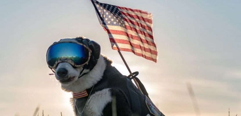 screen-shot-2016-11-18-at-2-33-26-pm