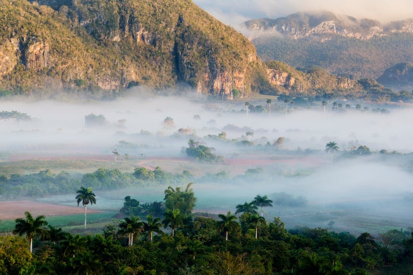 Fog rolling over rural landscape