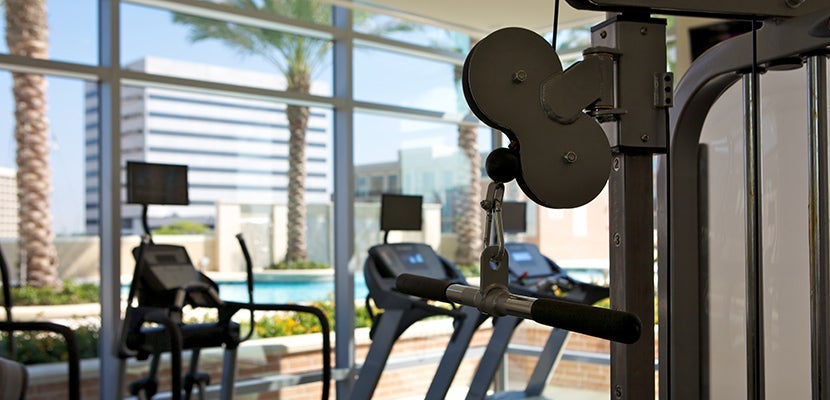 IMGGettyImages-183062380