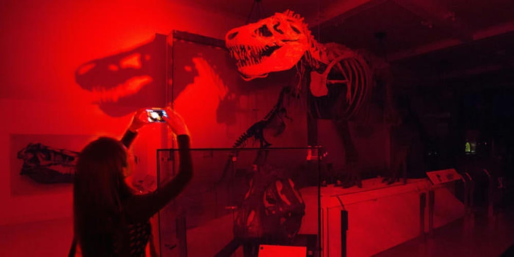 american-museum-of-natural-history-sleepover-featured