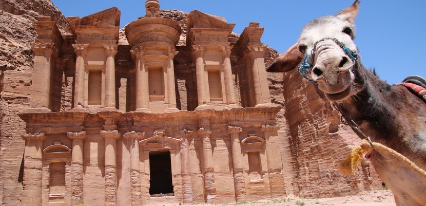 IMG_jd_petra_donkey_bb