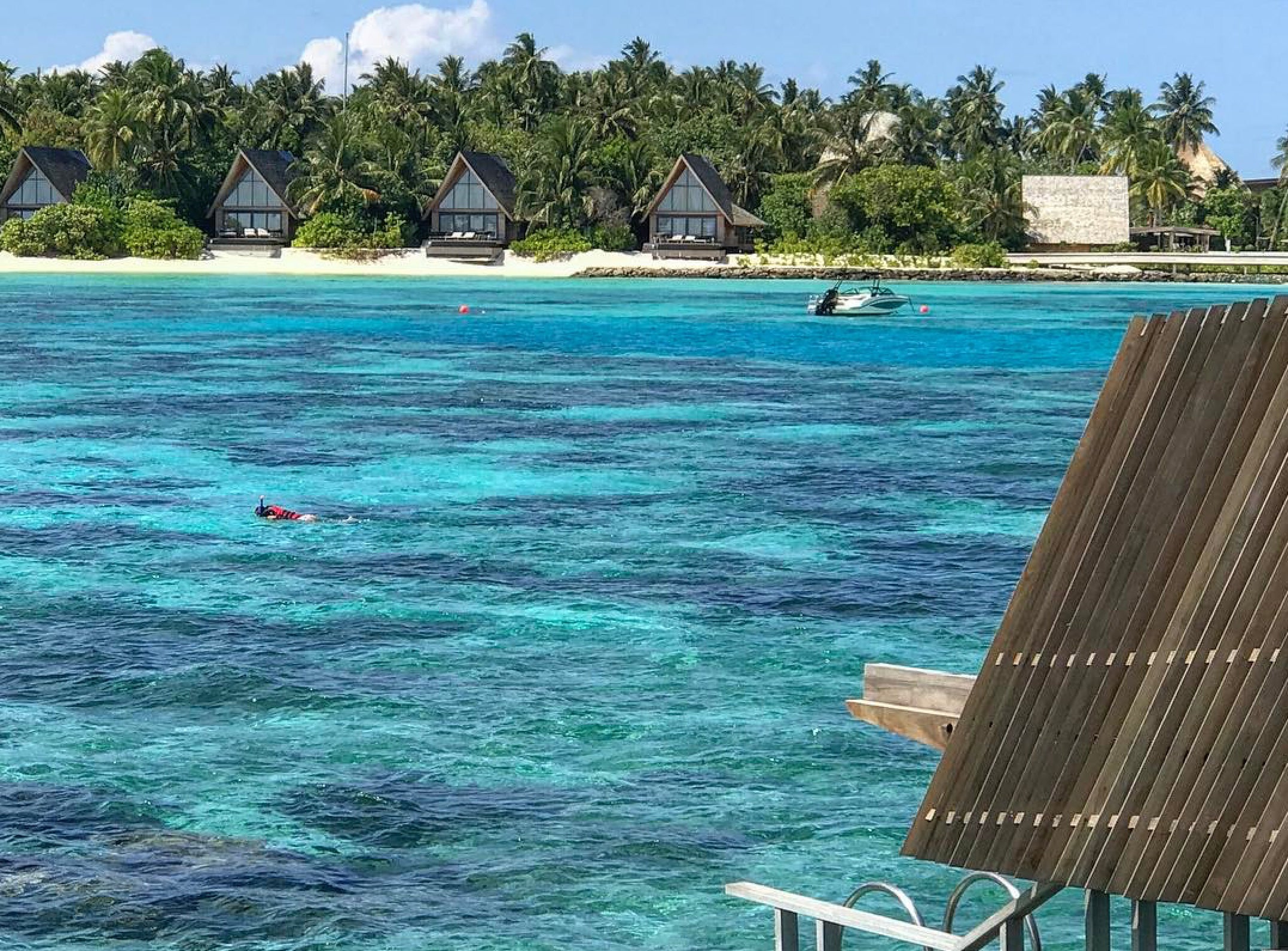 Screen-Shot-2017-06-13-at-2.04.05-PM