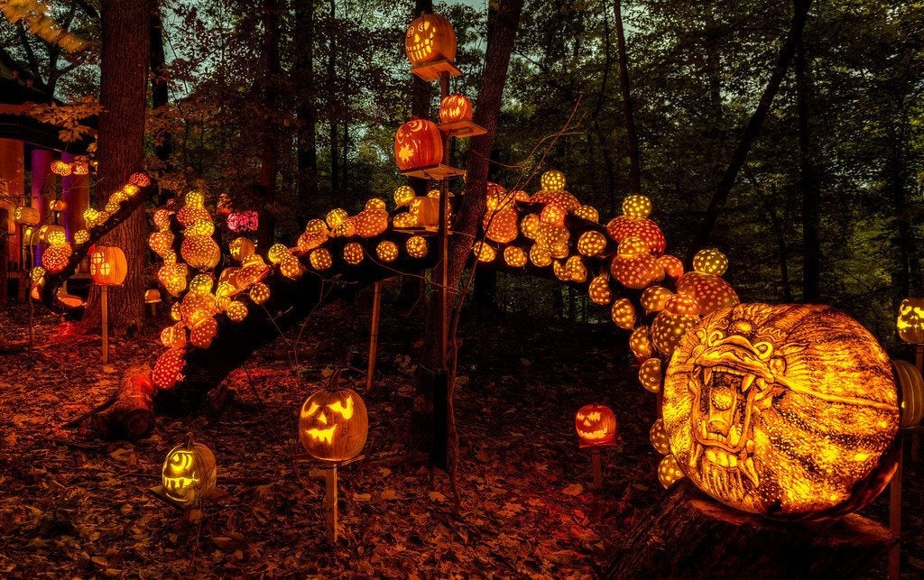 Image courtesy of Jack O Lantern Spectacular