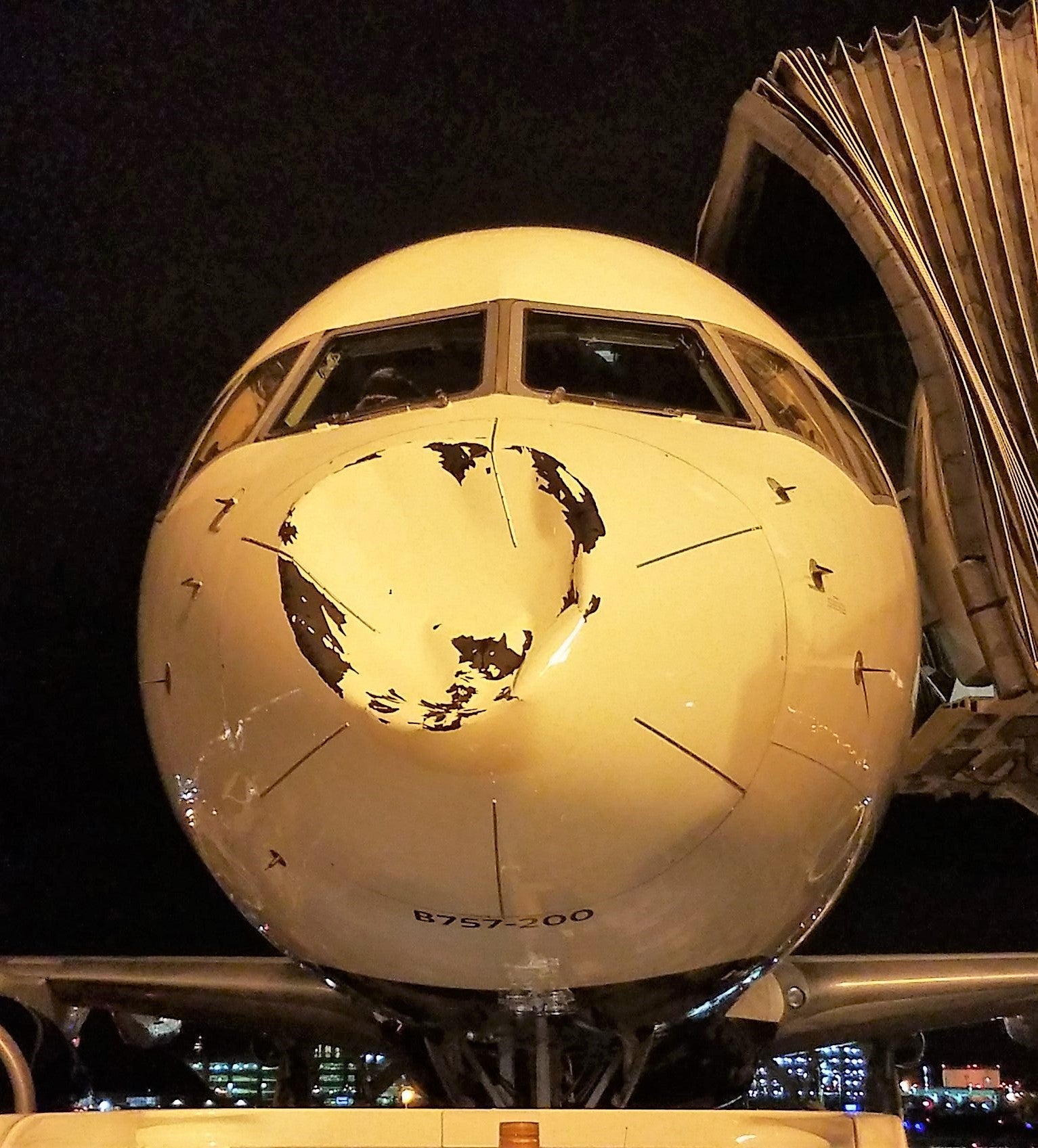 Delta 757-200 dent front Steven Adams