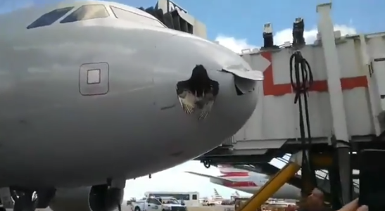 Screen Shot 2017-11-15 at 4.16.09 PM