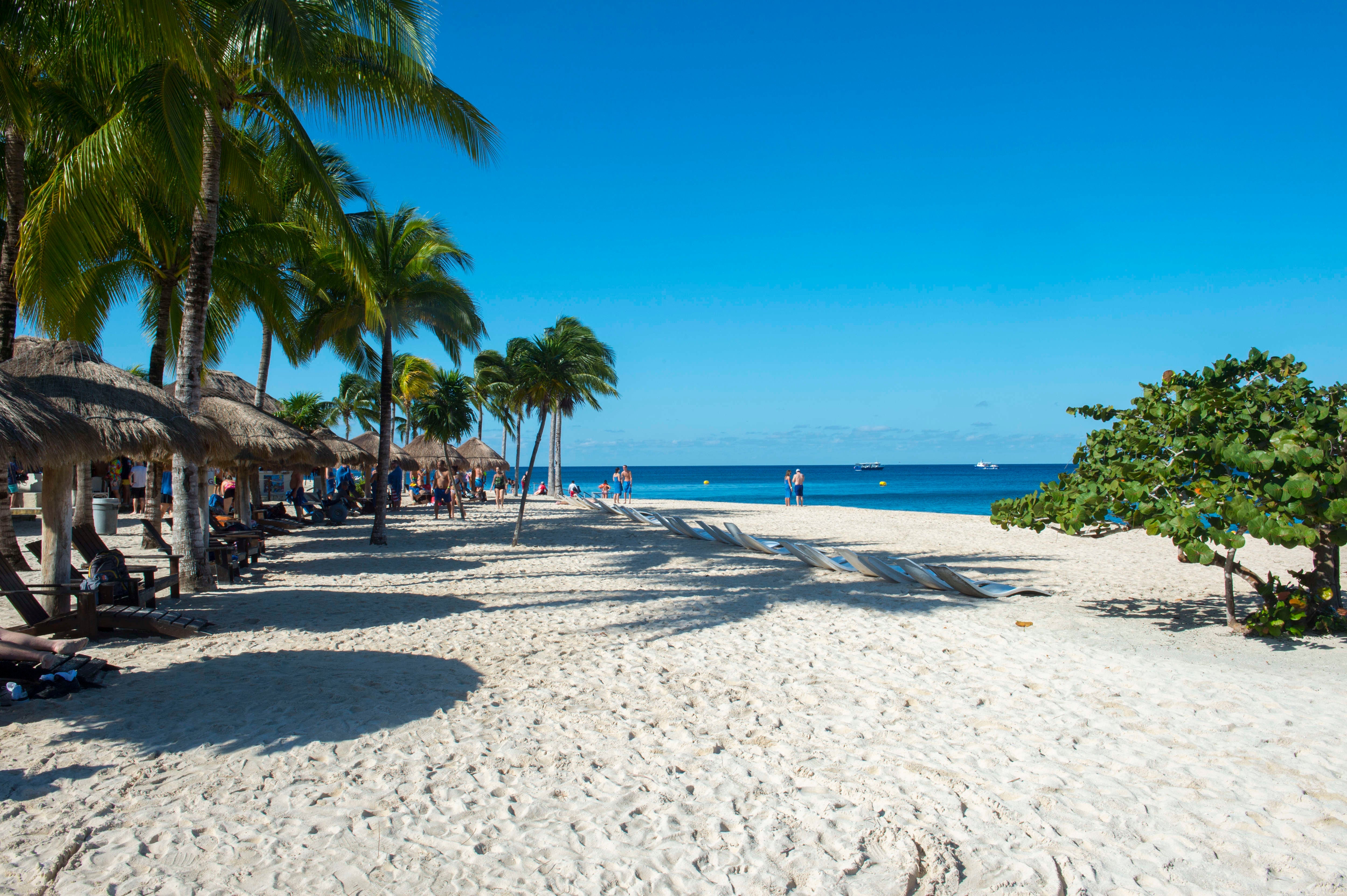View of the beach with coconut palm trees and palapas at