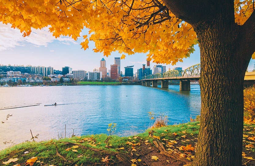 portland-oregon-best-dog-friendly-cities