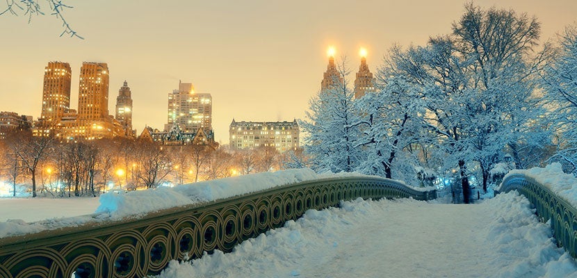 IMGGettyImages-543477586