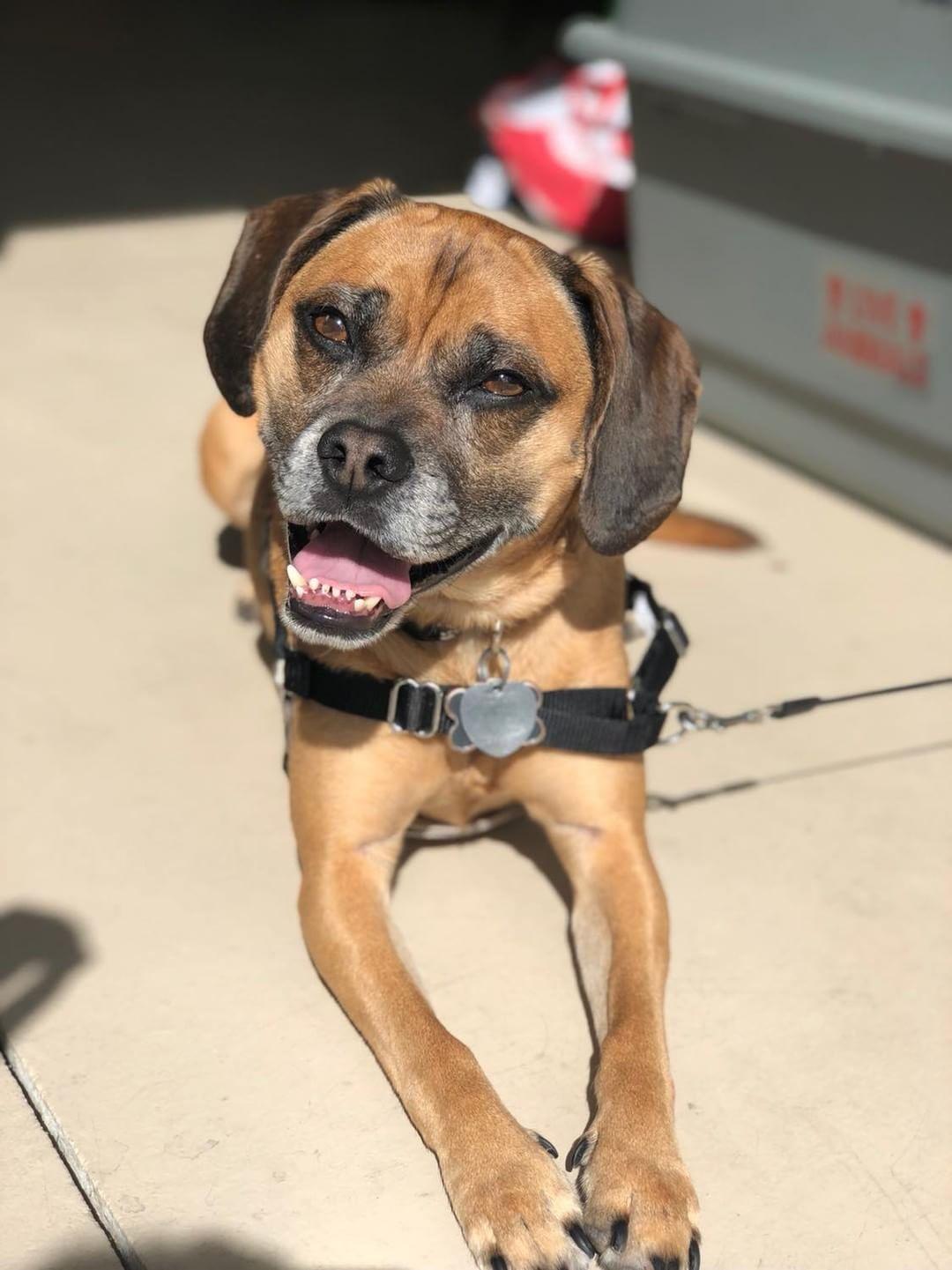 IMG_20180317_122311_947