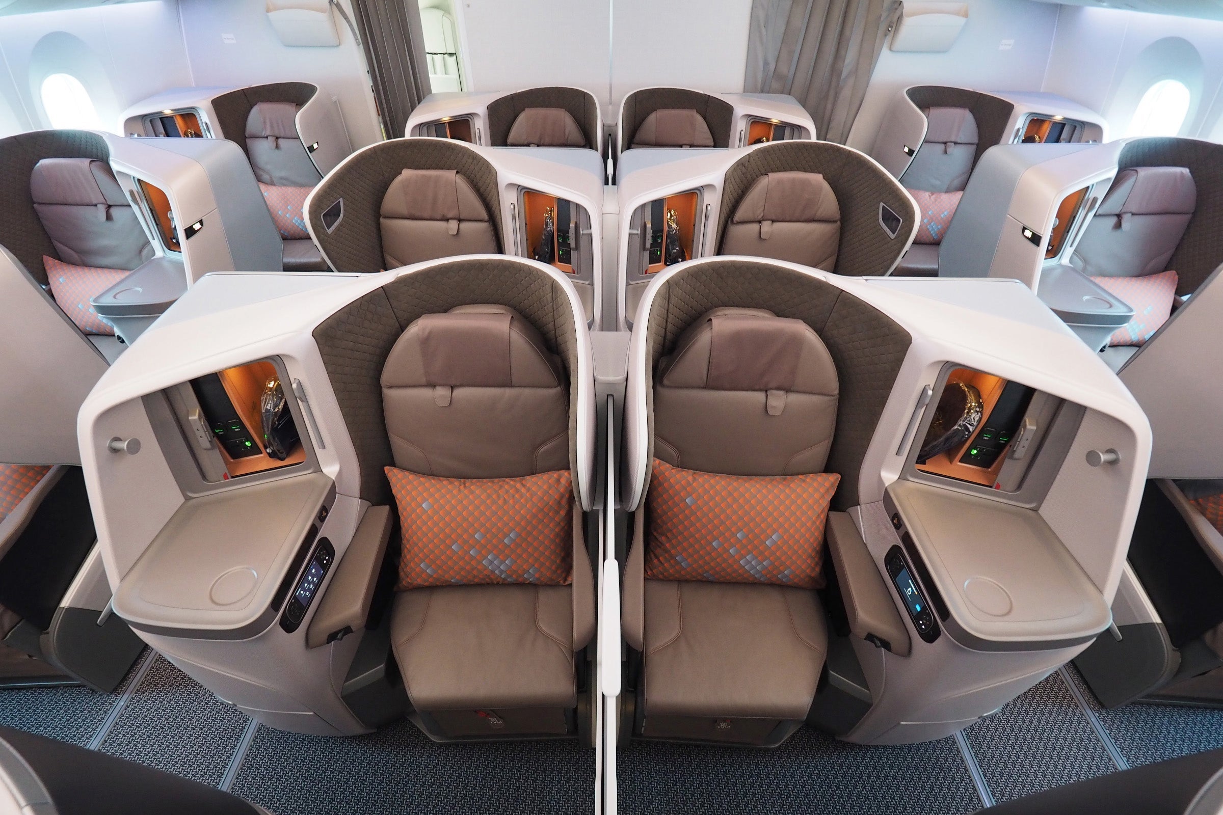 Singapore 787-10 Dreamliner Tour