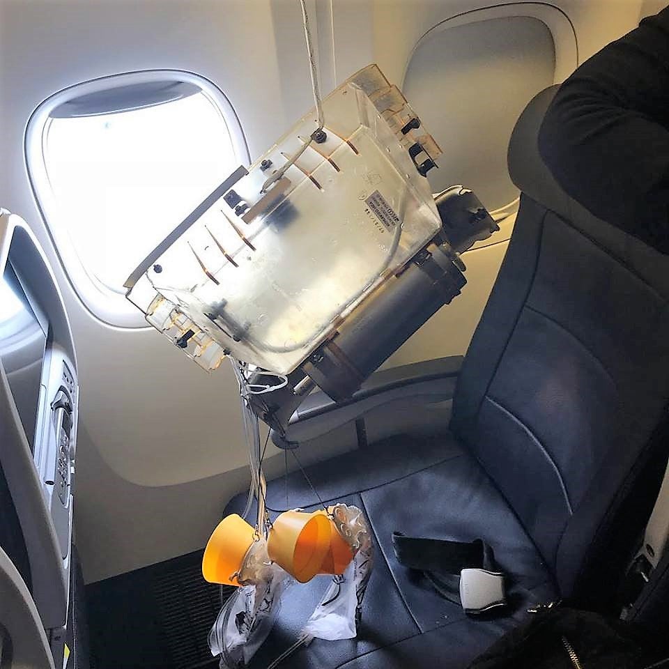 30411868_10102806821409319_2295375478128640000_n