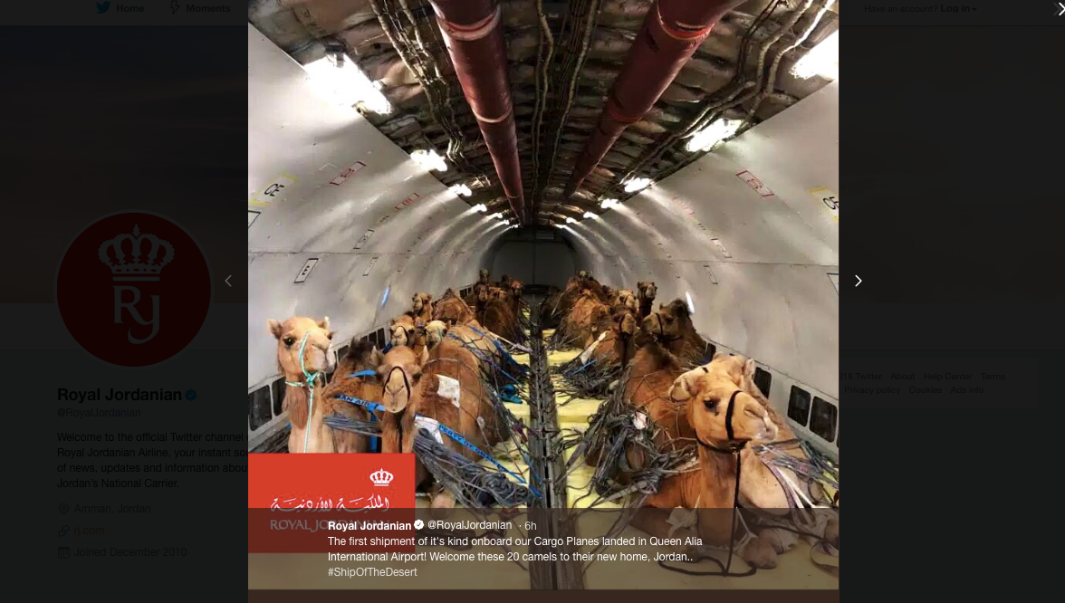 Screen Shot 2018-04-11 at 2.44.03 PM