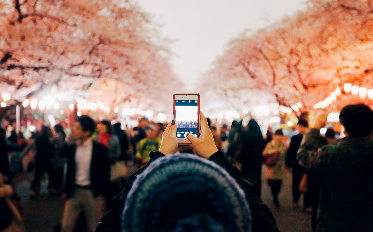 People Enjoy Cherry Blossoms In Tokyo
