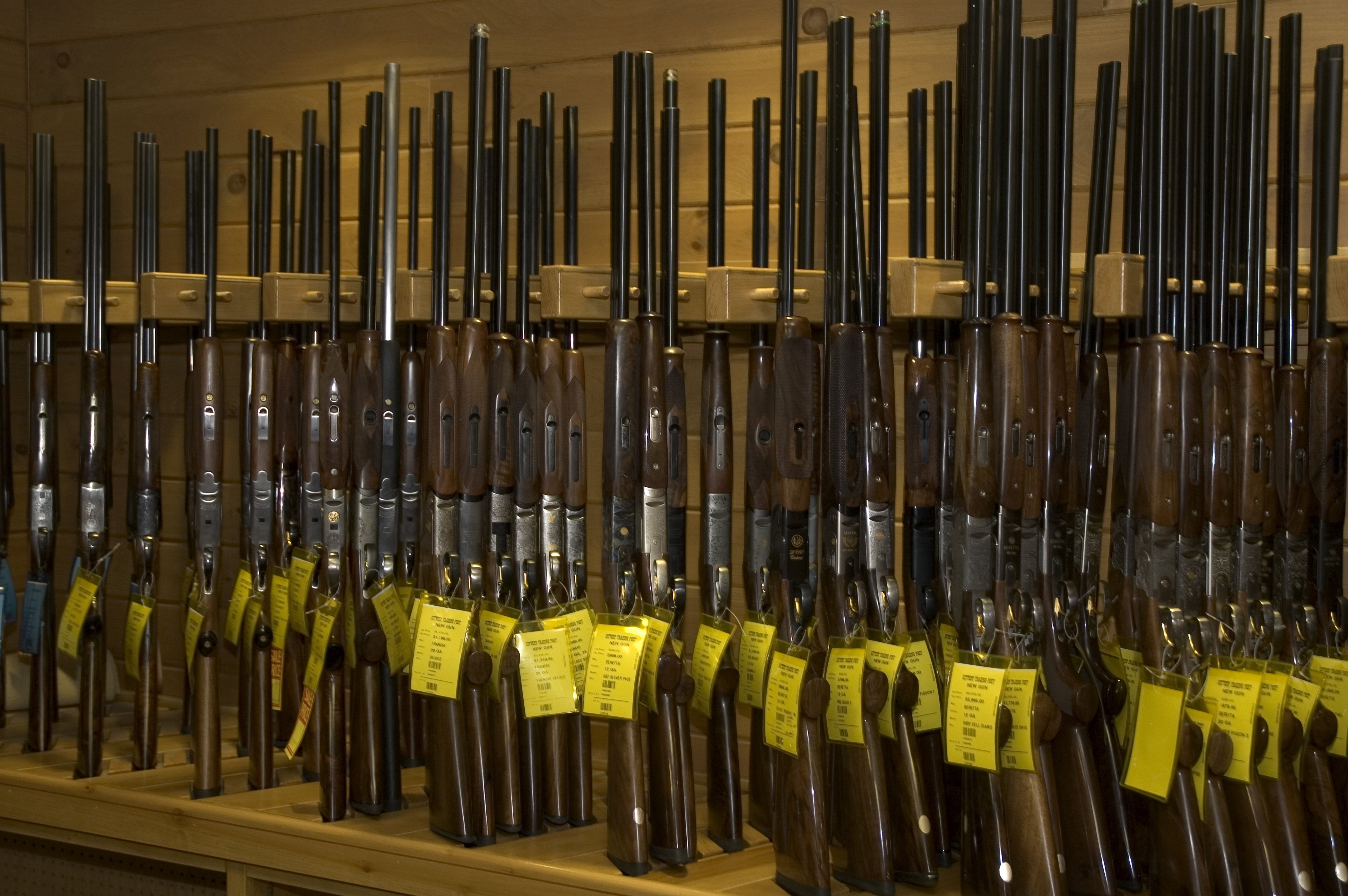 Rows of Rifles in Gun Shop