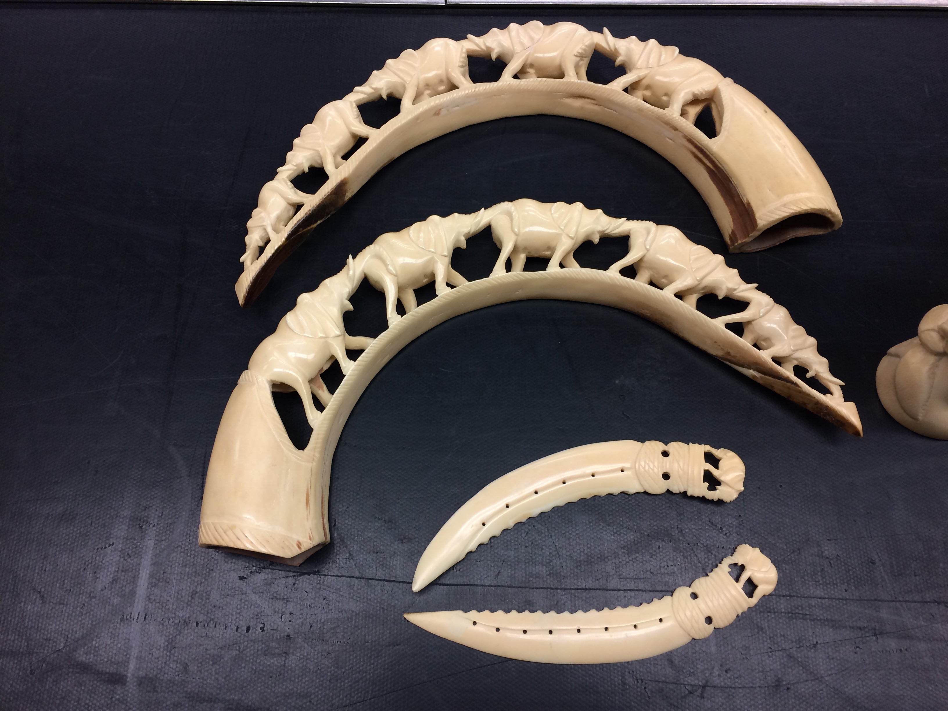 banned ivory tusks from Philippines