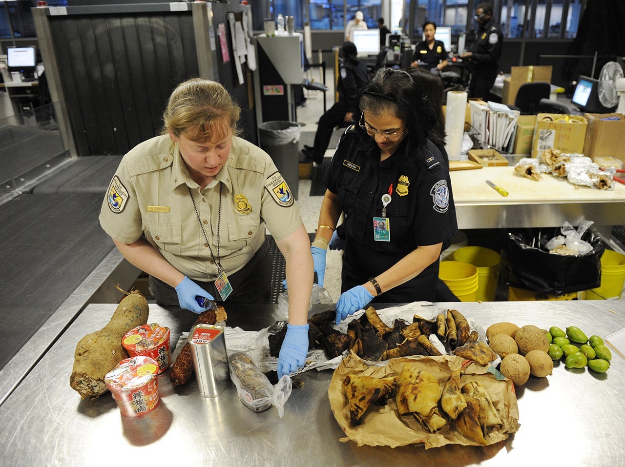 Customs and Border Protection: Forbidden and Confiscated Items