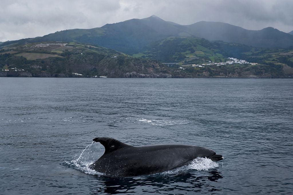 PORTUGAL-AZORES-TOURISM