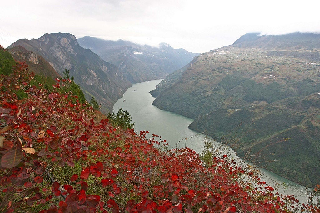CHINA-CHONGQING-WUSHAN-RED LEAVES (CN)