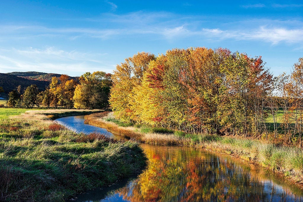 Vermont - Meandering steam with autumn trees