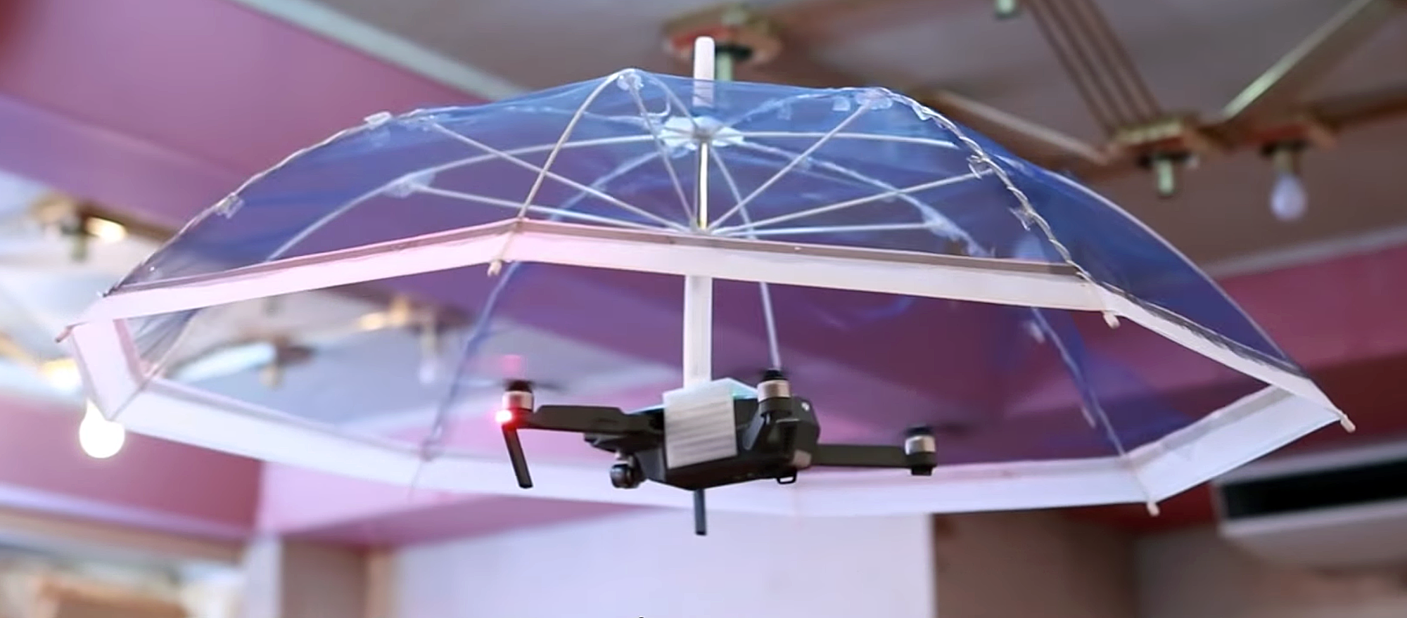 Screen Shot 2018-06-01 at 11.58.06 AM