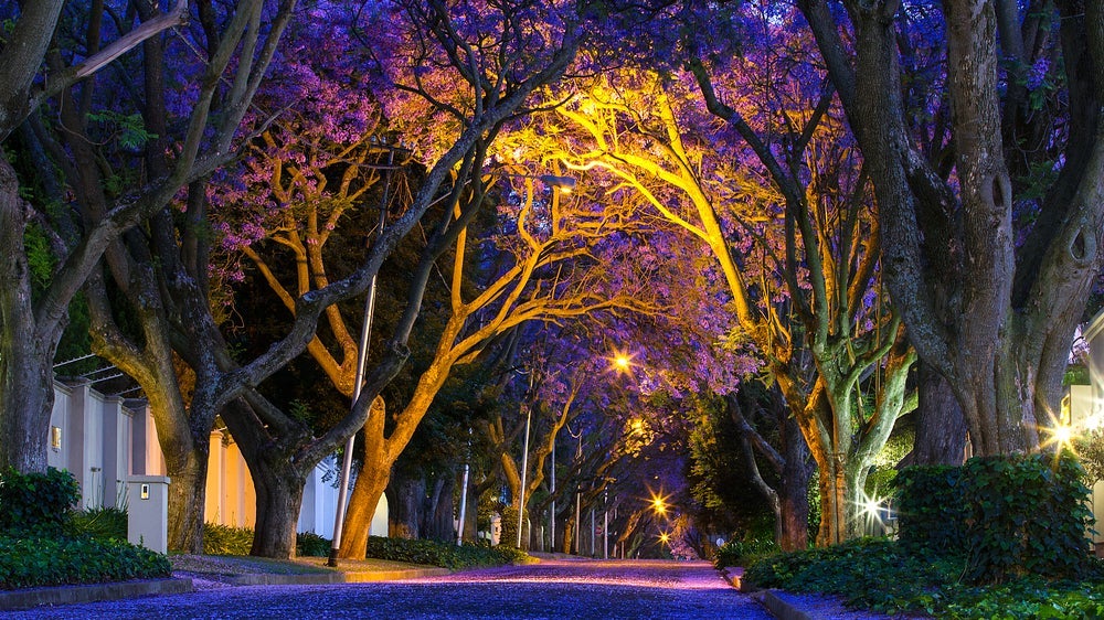 shutterstock_555553450