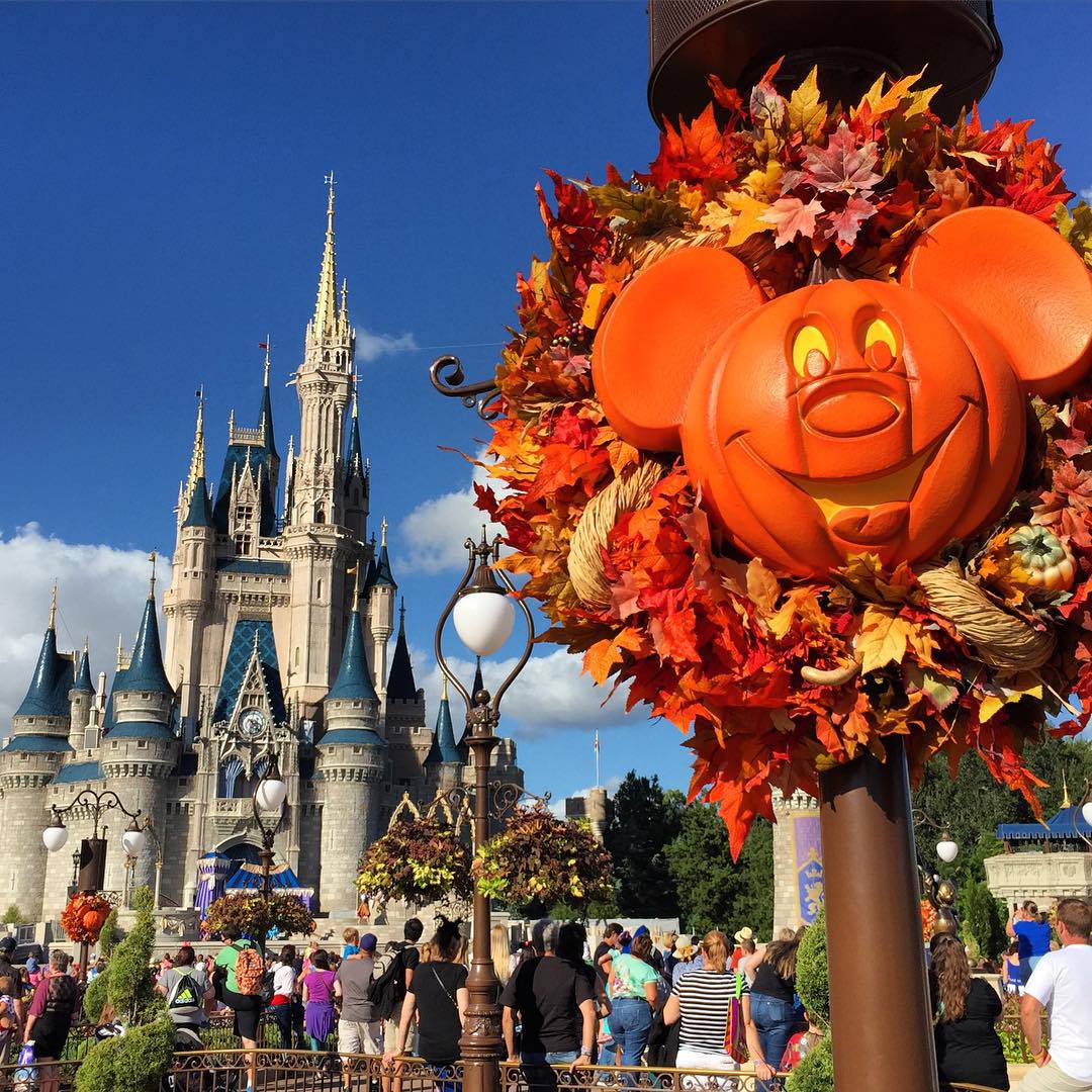 12105066_1490175524612591_64016303_n